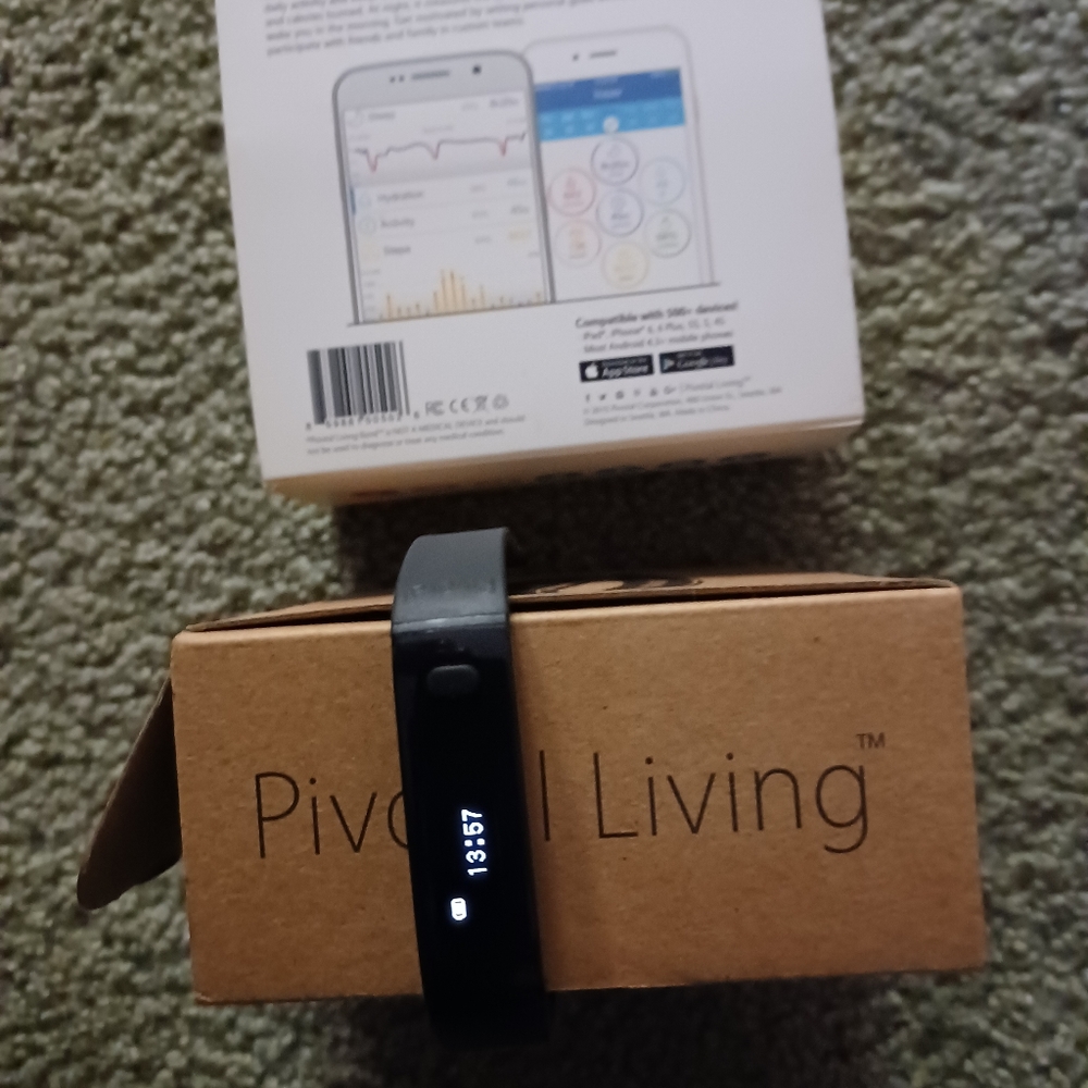 PIVOTAL LIVING BAND